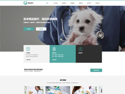盘锦宠物医疗美容机构网站制作-案例