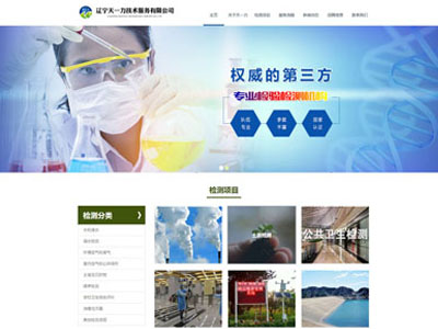 盘锦环保环境卫生食品检测公司企业网站制作